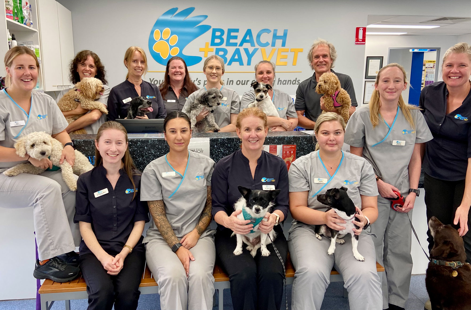 Meet the Team at Beach + Bay Vet - Our People
