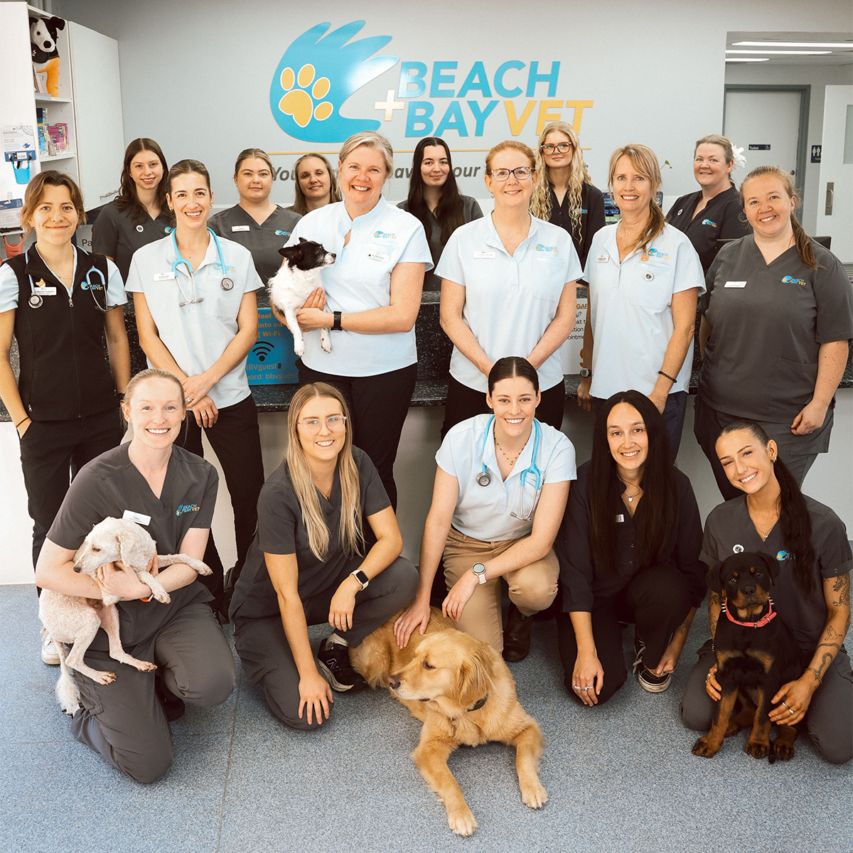 Contact Beach + Bay Vet
