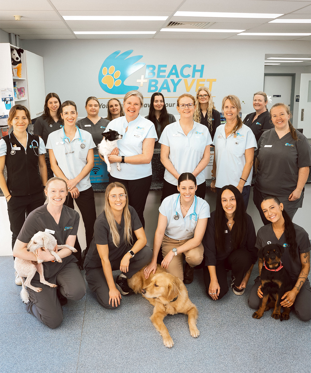 Meet the Team at Beach + Bay Vet - Our People