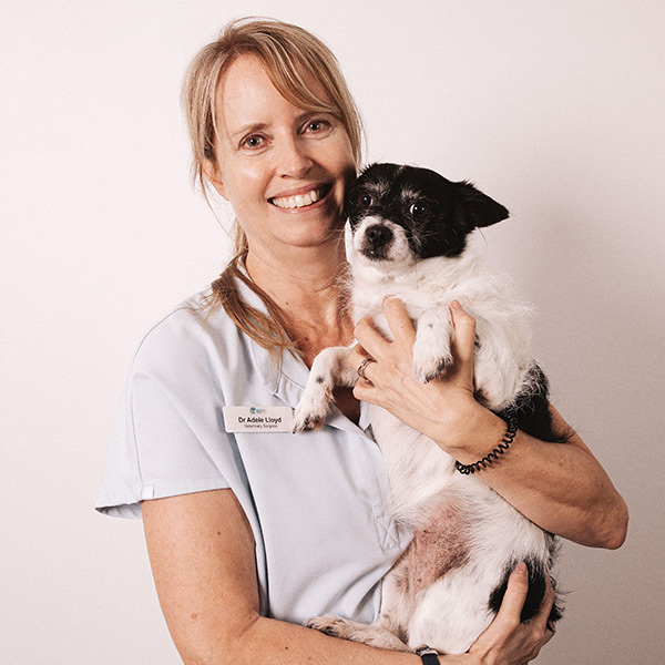 Beach and Bay Vet - Our Team - Dr Adele