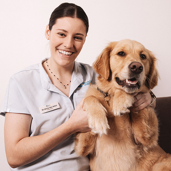 Beach and Bay Vet - Our Team - Dr Alicia