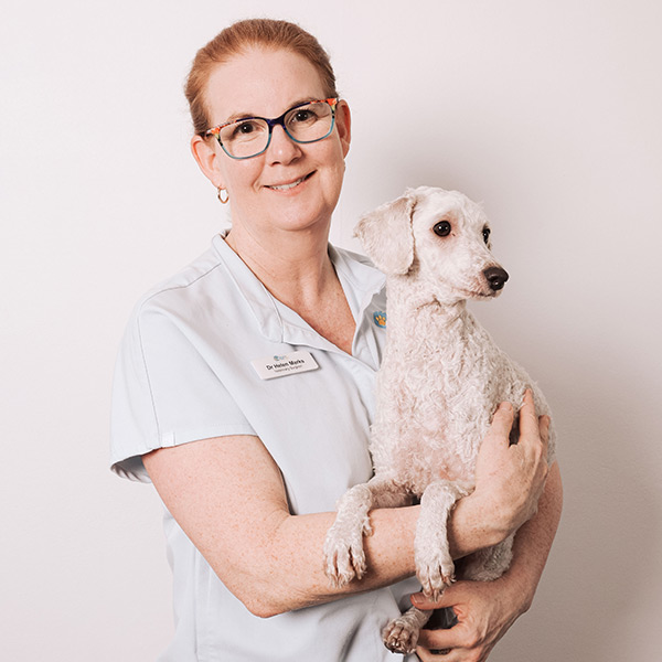 Beach and Bay Vet - Our Team - Dr Helen