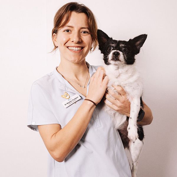 Beach and Bay Vet - Our Team - Dr Madeleine Trudgian