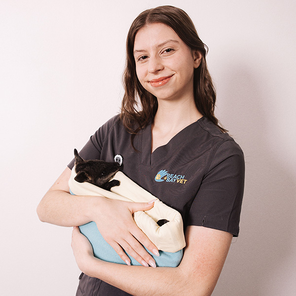 Beach and Bay Vet - Our Team - Jess